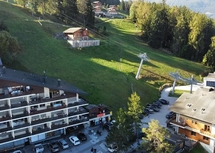 De - Ski-in Ski-out Veysonnaz